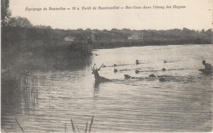 Equipage de Bonnelles Rambouillet (43)